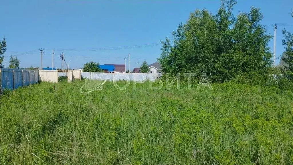 Участок в Тюменская область, Тюменский муниципальный округ, д. ... - Фото 2