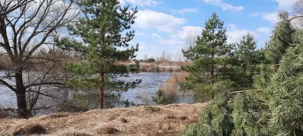 Участок в Новгородская область, Боровичский район, д. Егла Зеленый ... - Фото 0