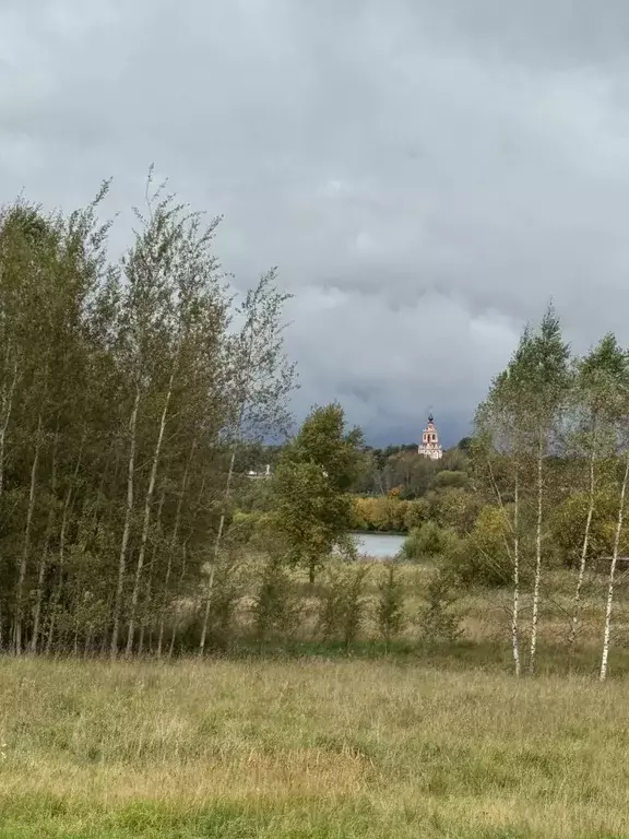 Продается участок в д. Бузаево - Фото 0