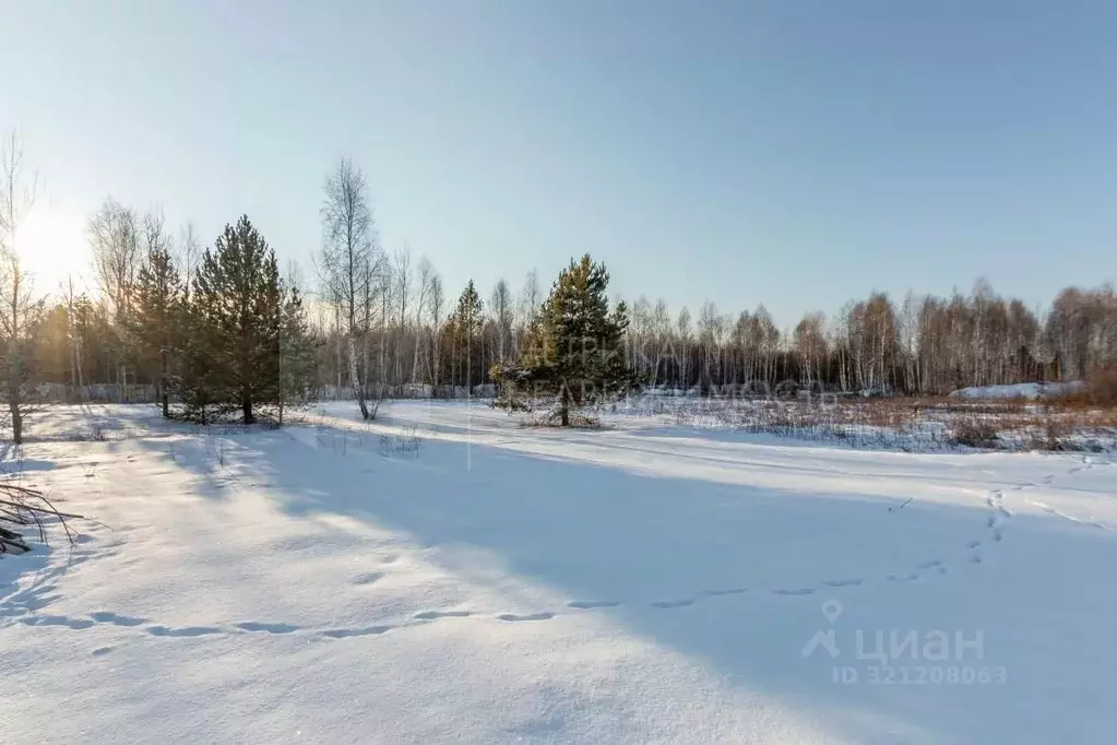 Участок в Тюменская область, Тюменский район, Янтарное ДНТ  (7.4 сот.) - Фото 0