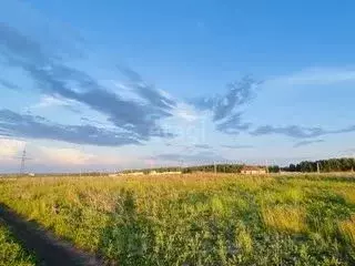 Участок в Липецкая область, Липецкий муниципальный округ, с. Ленино  ... - Фото 1