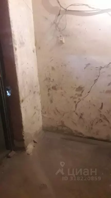 Помещение свободного назначения в Алтайский край, Барнаул ул. Антона ... - Фото 0