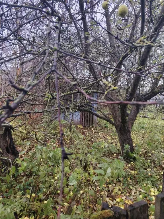 Дом в Новгородская область, Новгородский район, Савинское с/пос, д. ... - Фото 1