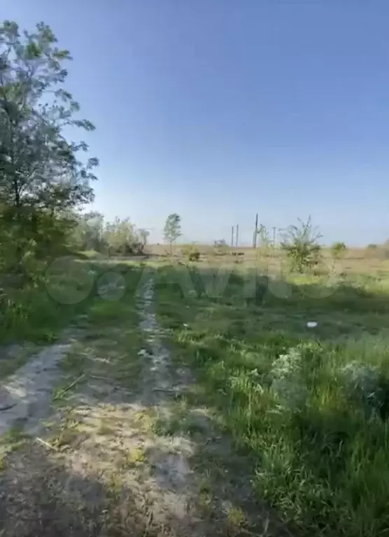 Участок 50 сот. (ИЖС) - Фото 1