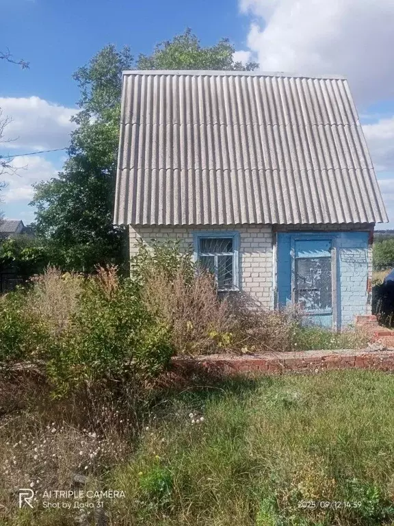 Дом в Белгородская область, Яковлевский муниципальный округ, ... - Фото 0