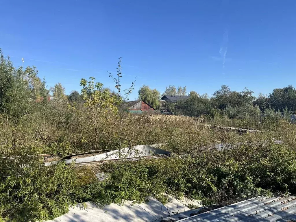 Участок в Московская область, Серпухов городской округ, д. Глазово  ... - Фото 2