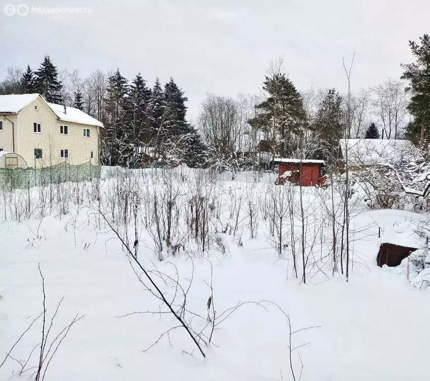Участок в Ленинградская область, Гатчинский муниципальный округ, ... - Фото 2