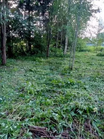 Участок 6 сот. (ИЖС) - Фото 0