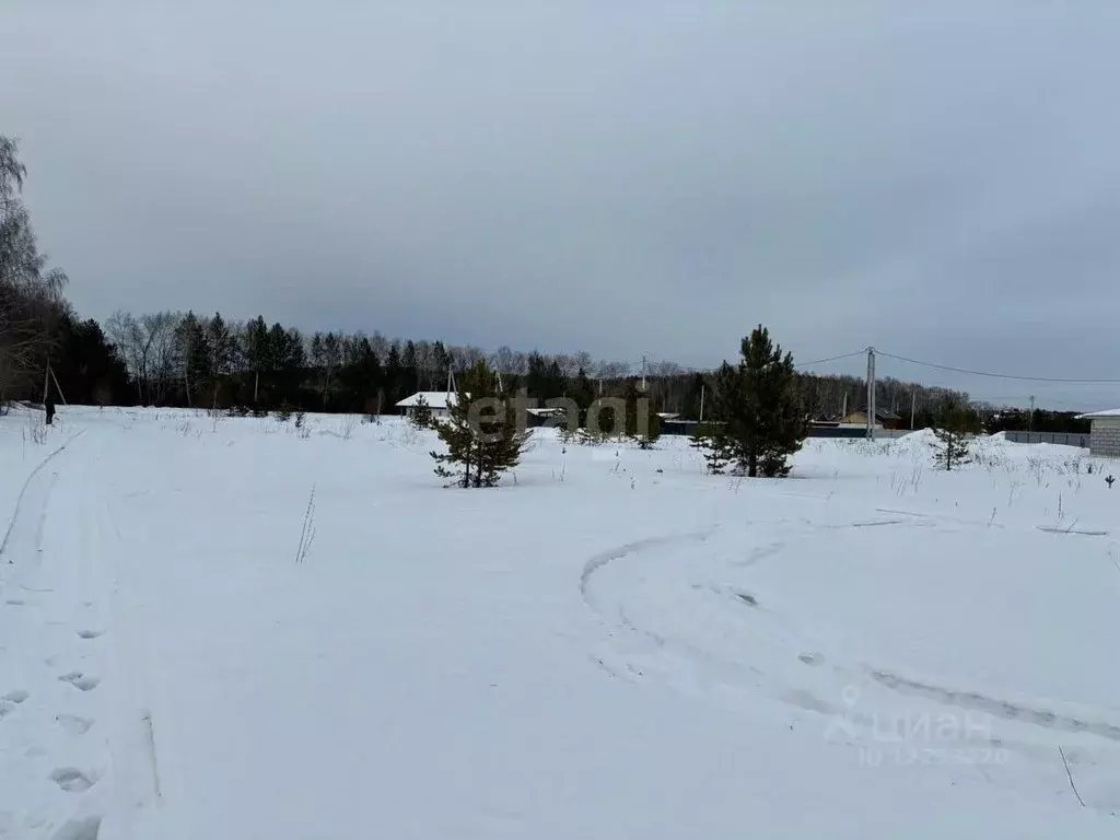 Участок в Свердловская область, Белоярский городской округ, пос. ... - Фото 0