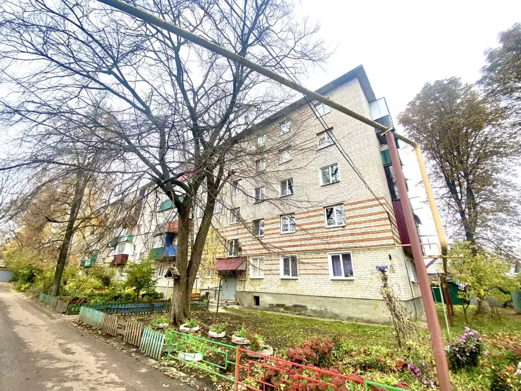 3-к кв. Тамбовская область, Моршанск ул. Пушкина, 35 (50.5 м) - Фото 1