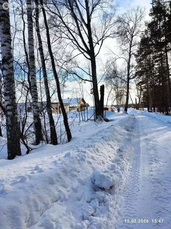 Участок в посёлок Зональная Станция, Урожайная улица (9.2 м) - Фото 1