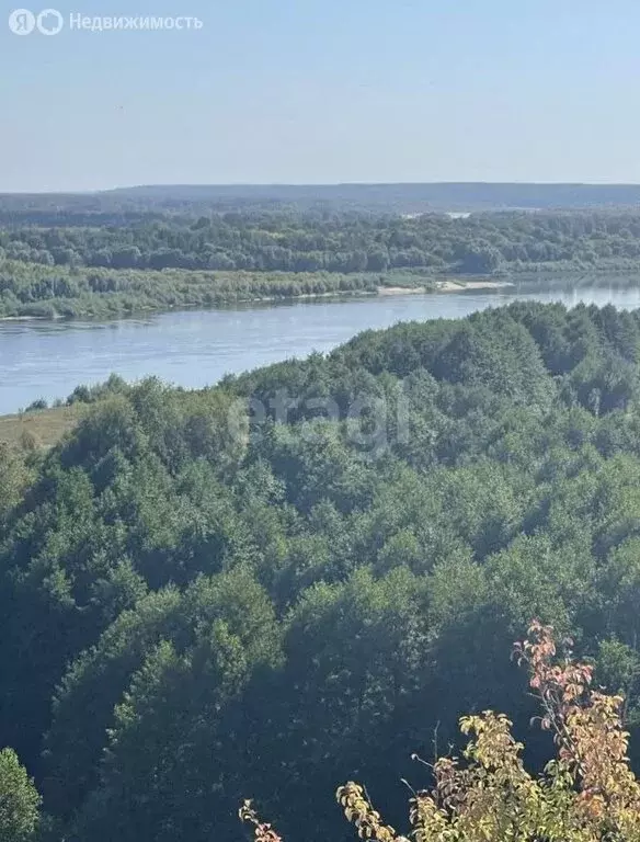 Участок в Владимирская область, Меленковский муниципальный округ, ... - Фото 0