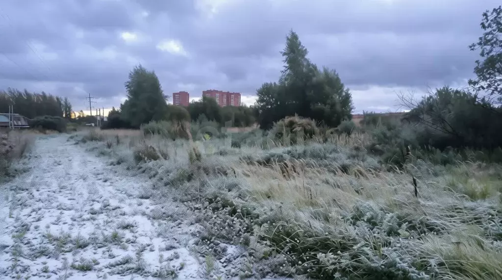 Участок в Ярославская область, Ярославль Текстильщик-2 садовое ... - Фото 1