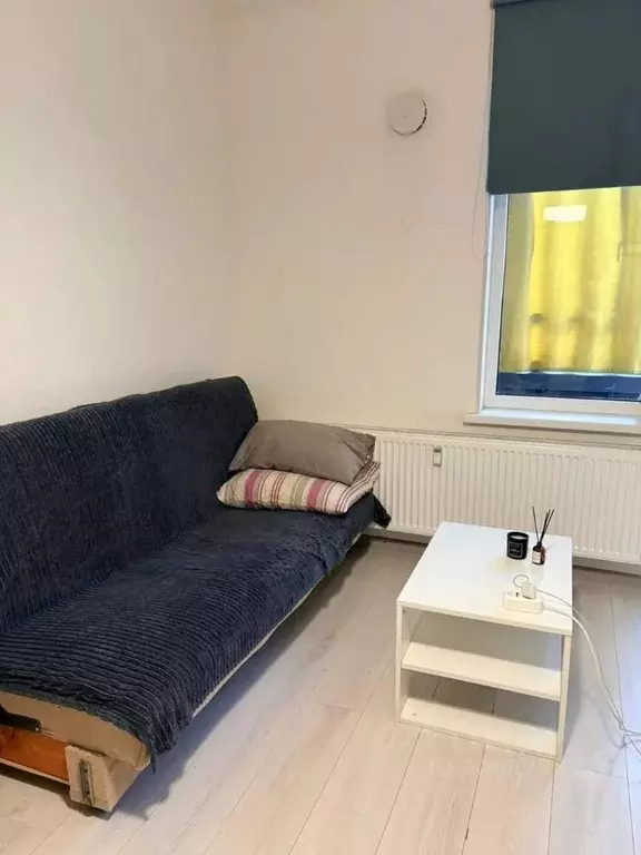 Студия Санкт-Петербург ул. Генерала Кравченко, 3к1 (25.0 м) - Фото 2