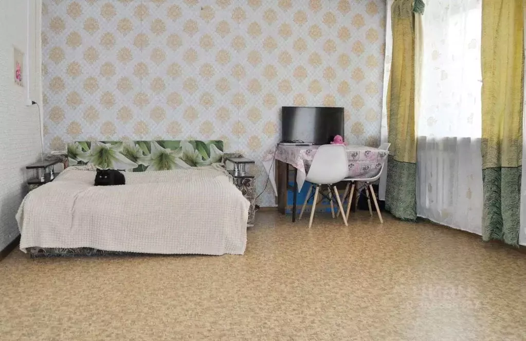1-к кв. Амурская область, с. Ивановка ул. Кирова, 56 (33.2 м) - Фото 0