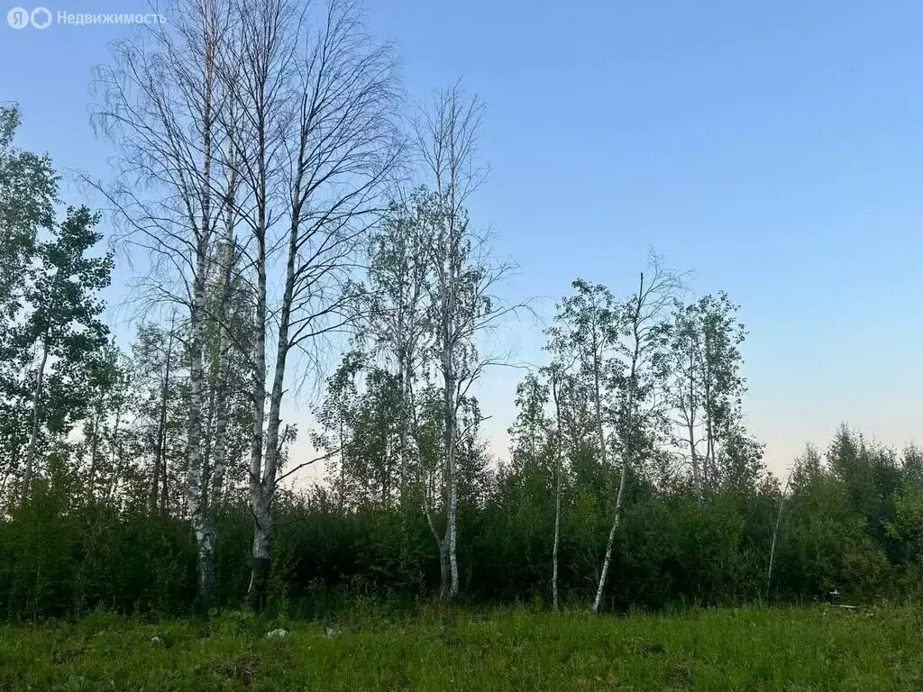Участок в Архангельская область, Приморский муниципальный округ, ... - Фото 1