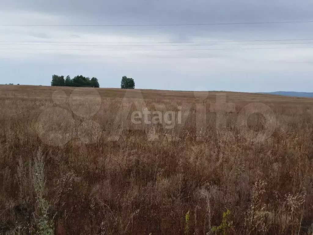 Участок 13,6 сот. (СНТ, ДНП) - Фото 1