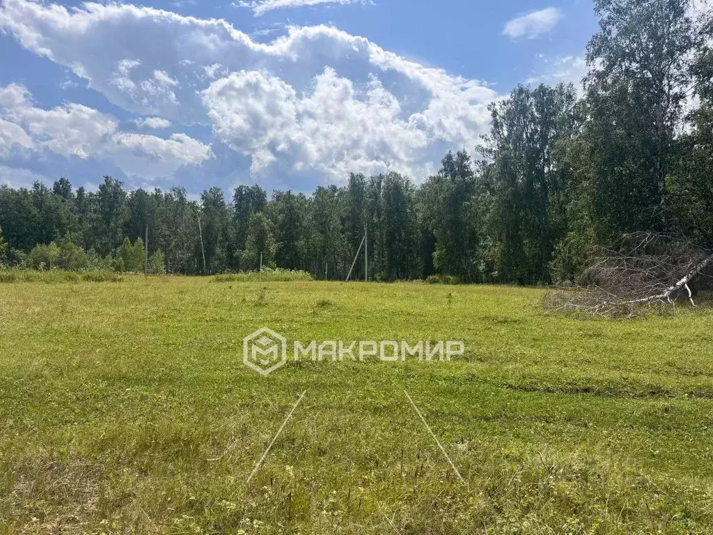 Участок в Челябинская область, Сосновский муниципальный округ, д. ... - Фото 1