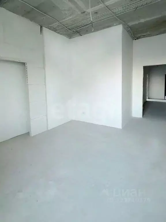 2-к кв. Новосибирская область, Новосибирск ул. Сибиряков-Гвардейцев, ... - Фото 1