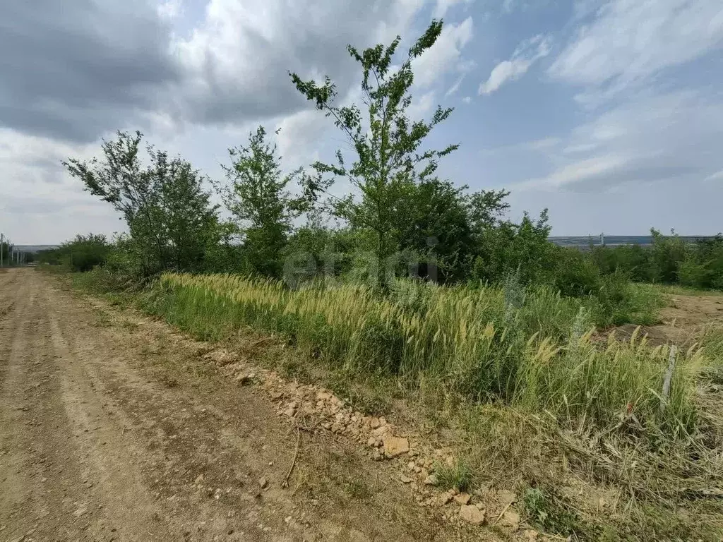 Участок в Ростовская область, Родионово-Несветайский район, ... - Фото 1