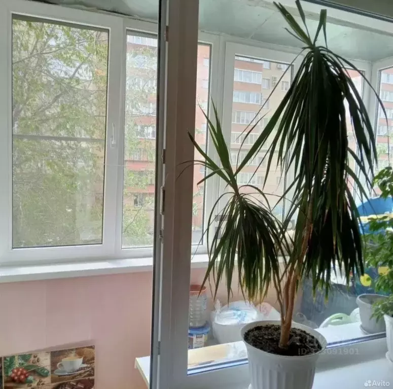 2-к кв. Челябинская область, Челябинск ул. Кирова, 19А (46.0 м) - Фото 2