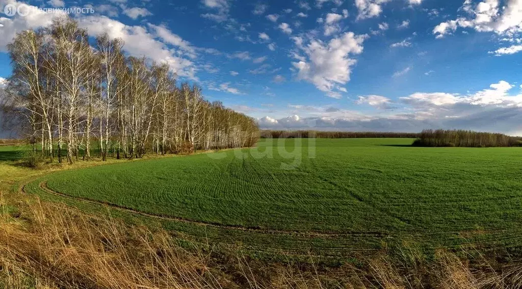 Участок в Киришский район, Кусинское сельское поселение, село ... - Фото 2