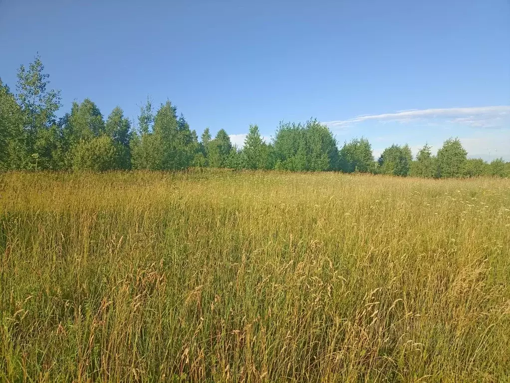 Участок в Пермский край, Краснокамский городской округ, д. Мошни  ... - Фото 0