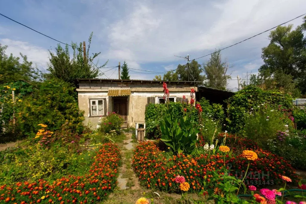Дом в Оренбургская область, Оренбург Заря Южноуральская СНТ, 7 (17 м) - Фото 0