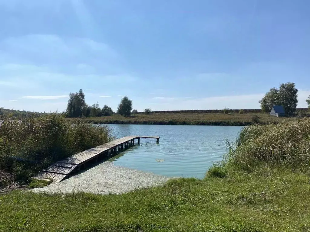 Участок в Белгородская область, Белгородский район, Тавровское с/пос, ... - Фото 1