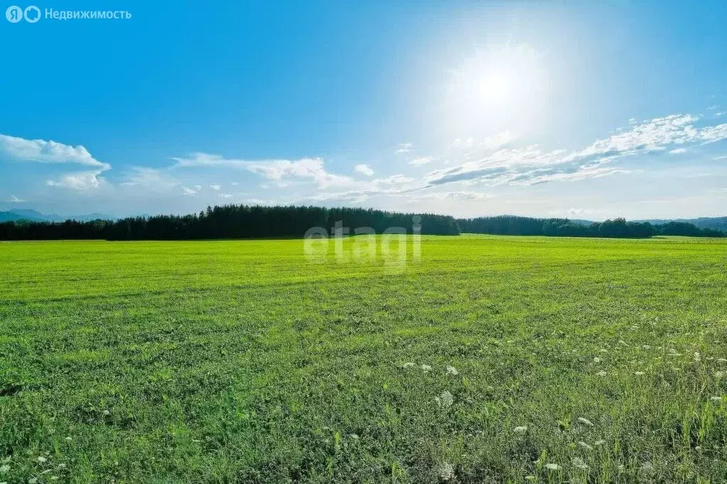 Участок в Республика Коми, муниципальный район Сыктывдинский, ... - Фото 1