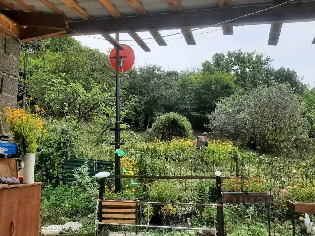 Участок в Краснодарский край, Сочи Северная Пальмира СТ,  (6.6 сот.) - Фото 2