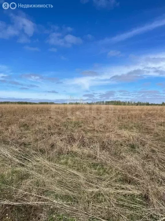 Участок в Увельский округ, село Рождественка (25 м) - Фото 0