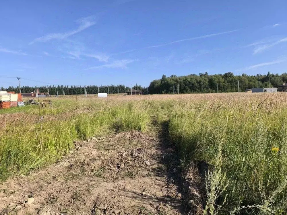 Участок в Татарстан, с. Верхний Услон ул. Трудовая, 10/2 (1300.0 сот.) - Фото 1