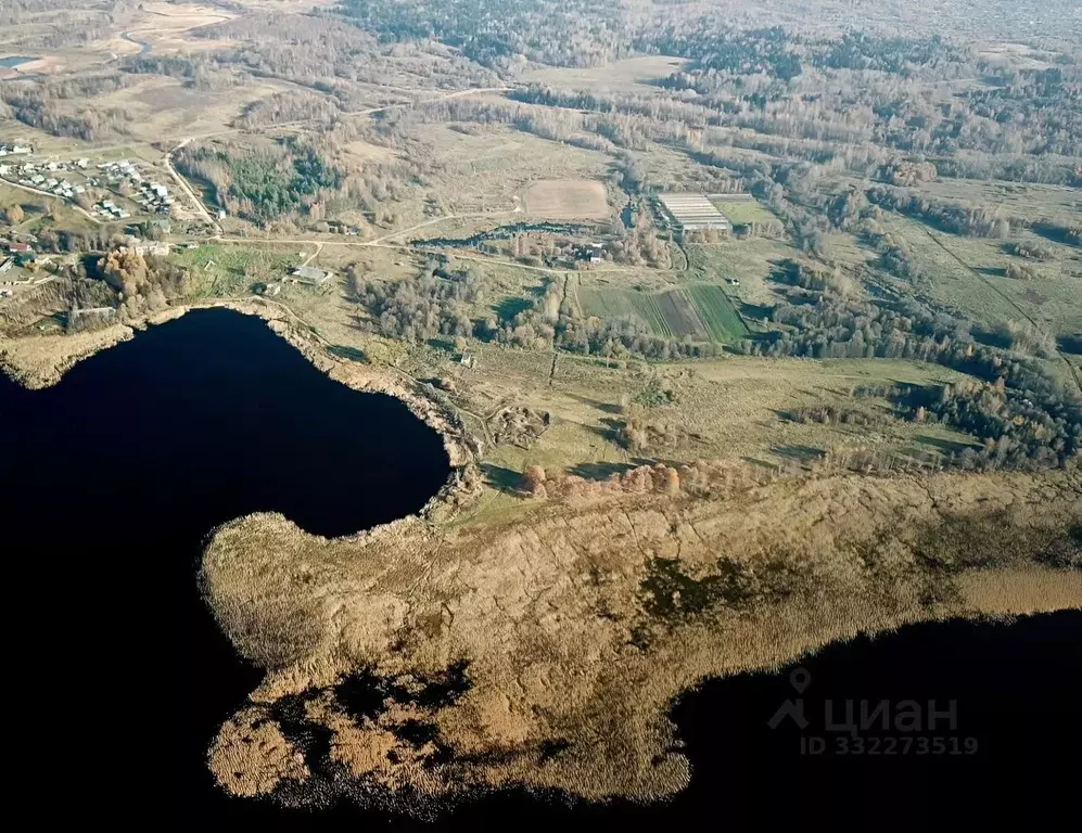 Участок в Тверская область, Осташковский муниципальный округ, д. ... - Фото 1
