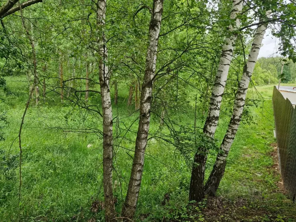 Участок в Московская область, Ступино городской округ, д. Шугарово ул. ... - Фото 1