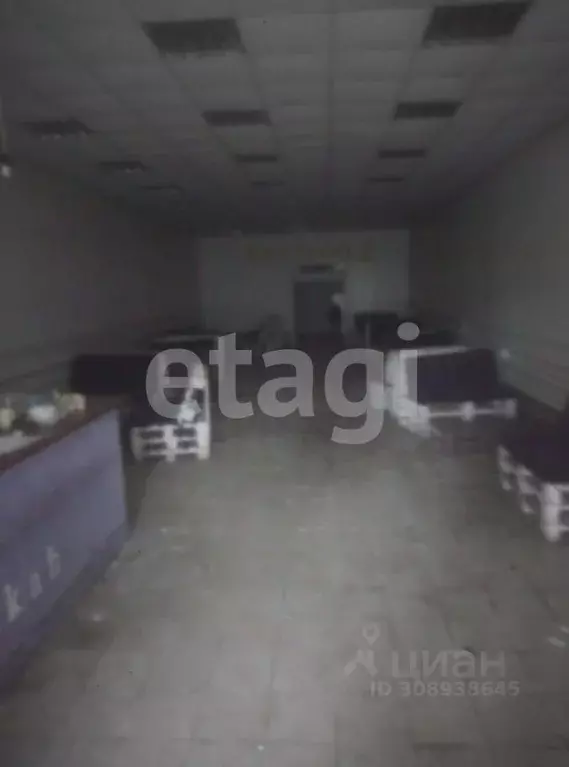 Офис в Брянская область, Климово рп ул. Щорса, 13 (258 м) - Фото 2