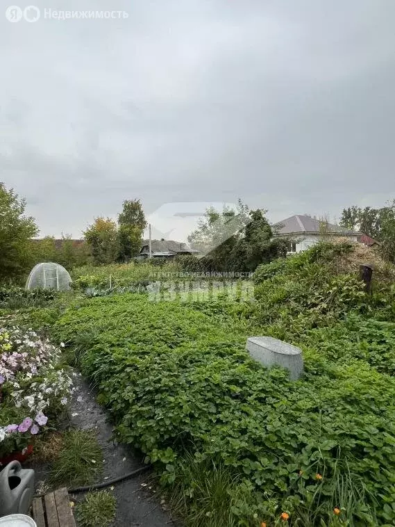 Дом в Кемерово, 1-й Елыкаевский переулок, 12 (45.5 м) - Фото 2