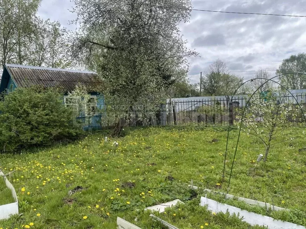 Дом в Смоленская область, Смоленск Автомобилист садовое товарищество, ... - Фото 1