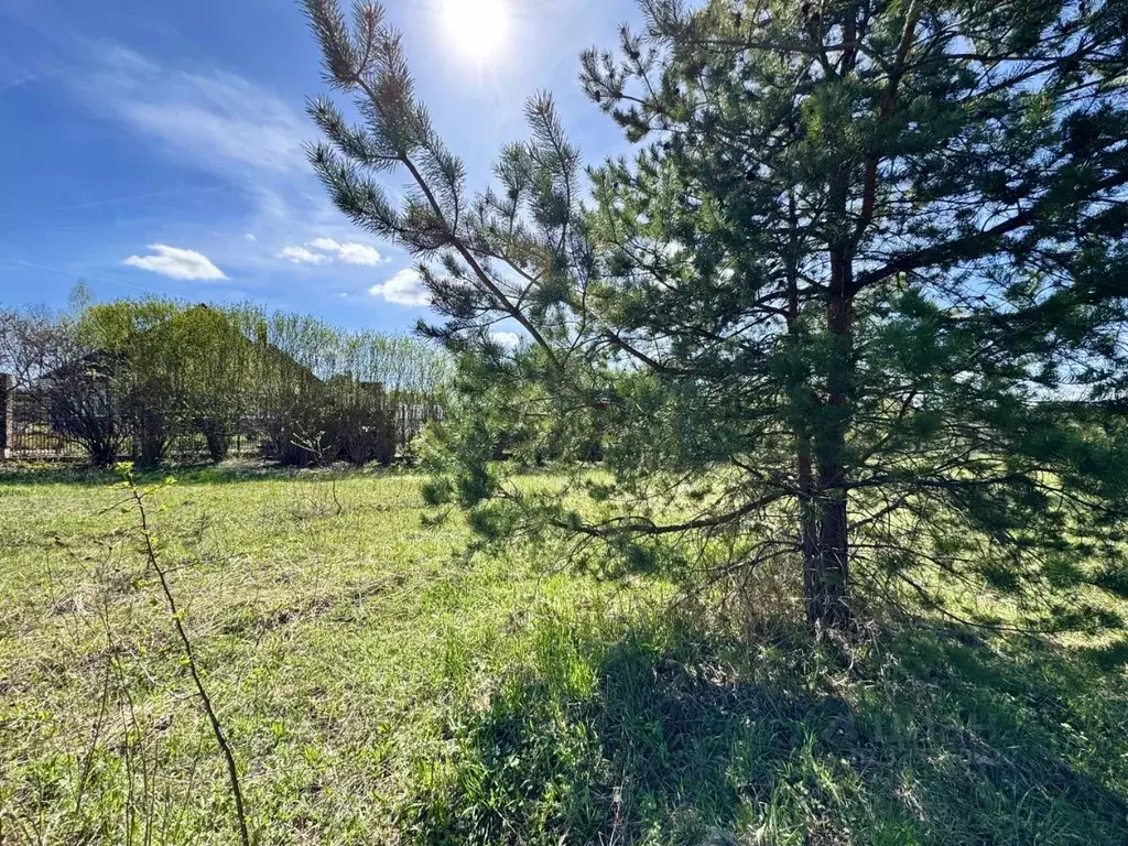 Участок в Московская область, Мытищи городской округ, д. Троице-Сельцо ... - Фото 2