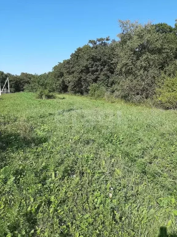 Участок в Амурская область, Благовещенский район, с. Каникурган  (25.0 ... - Фото 1
