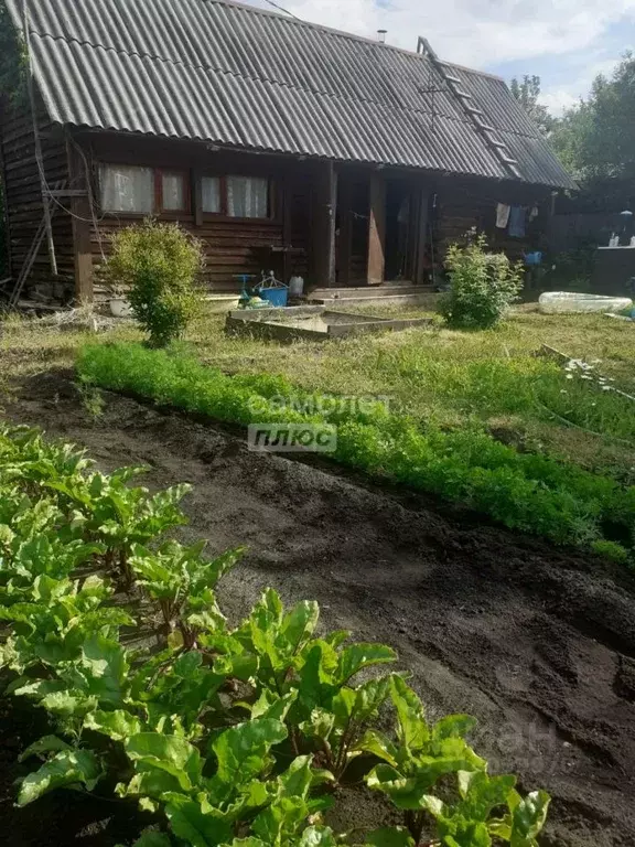 Участок в Курганская область, Кетовский муниципальный округ, с. ... - Фото 1
