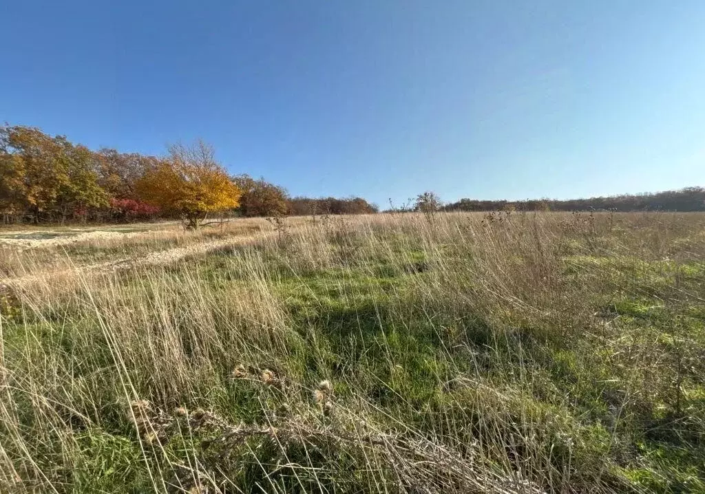 Участок в Краснодарский край, Анапа муниципальный округ, с. Варваровка ... - Фото 2