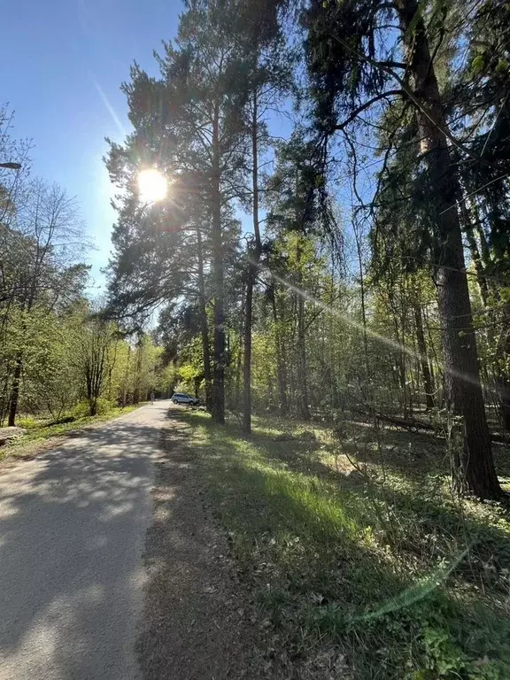 Участок в Московская область, Пушкинский городской округ, с. Тарасовка ... - Фото 1