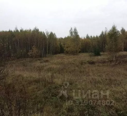 Участок в Московская область, Дмитровский муниципальный округ, д. ... - Фото 0