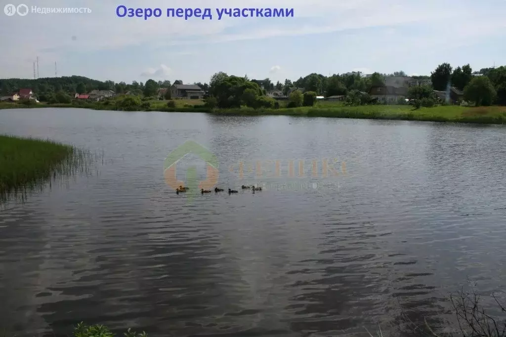 Участок в Выборгский район, посёлок Первомайское (20 м) - Фото 1