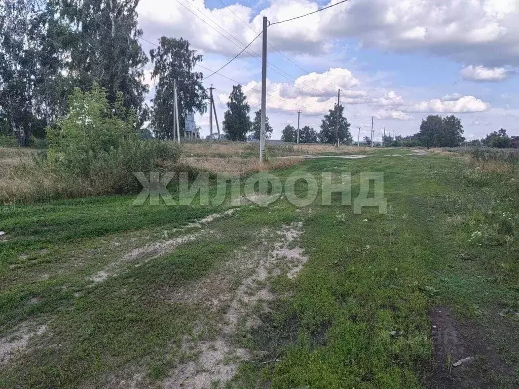 Участок в Новосибирская область, Новосибирский район, Криводановский ... - Фото 0