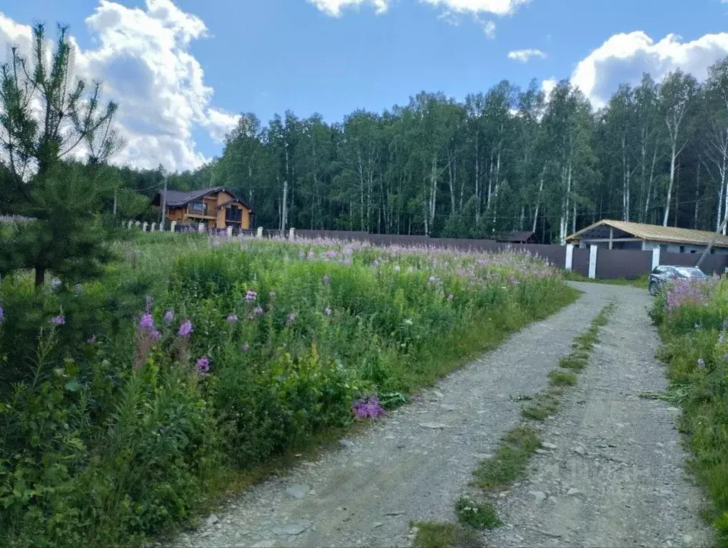 Участок в Свердловская область, Белоярский муниципальный округ, д. ... - Фото 0