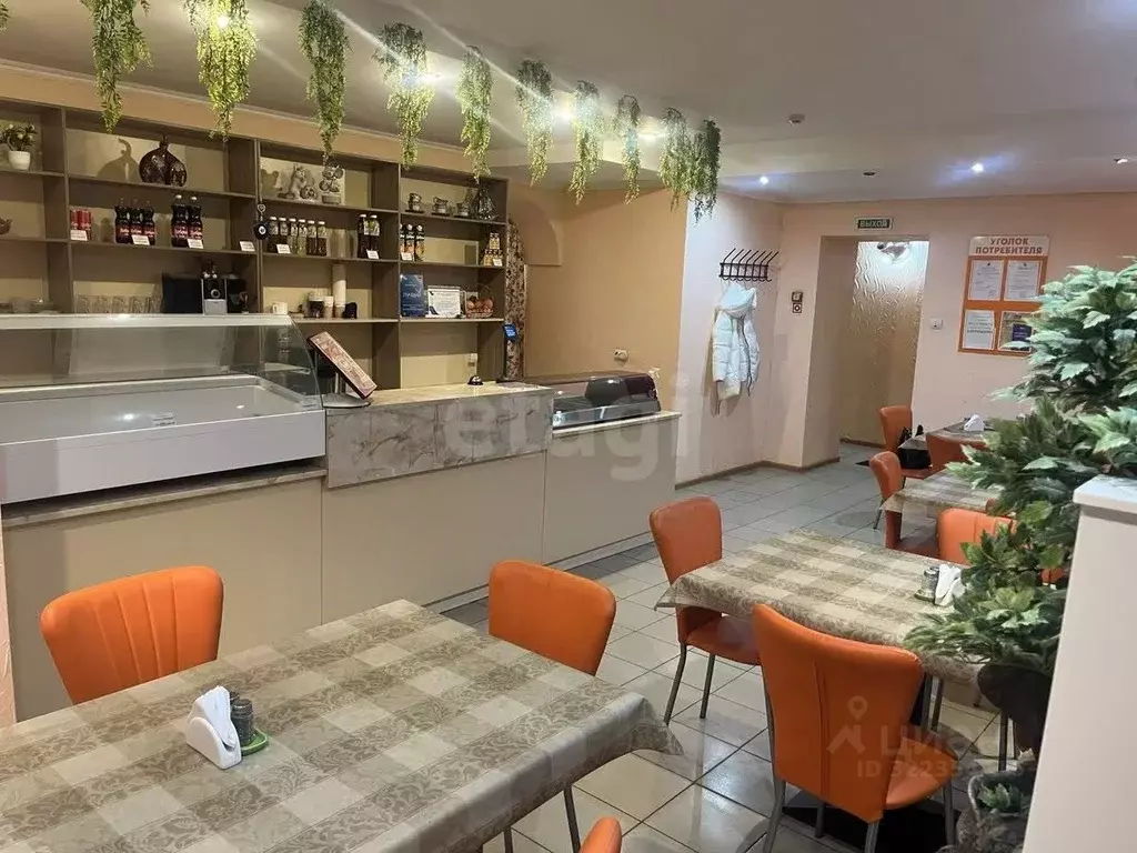 Торговая площадь в Ямало-Ненецкий АО, Тарко-Сале Пуровский район, ул. ... - Фото 1