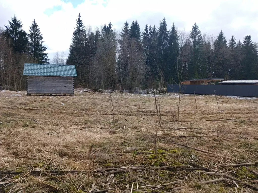 Участок в Волосово, Комсомольская улица, 68 (11 м) - Фото 1