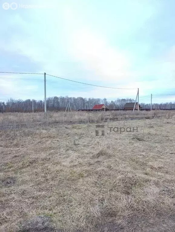 Участок в Челябинская область, Сосновский муниципальный округ, село ... - Фото 1